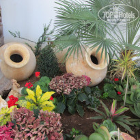 фото из отзыва ID 1162360