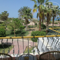 фото из отзыва ID 1162361