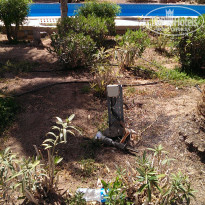 фото из отзыва ID 1162375