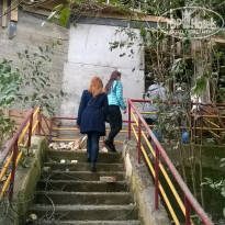 фото из отзыва ID 1162387