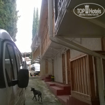 фото из отзыва ID 1162387