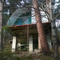 фото из отзыва ID 1162387