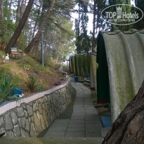 фото из отзыва ID 1162387