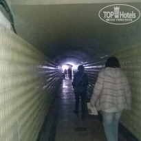 фото из отзыва ID 1162387