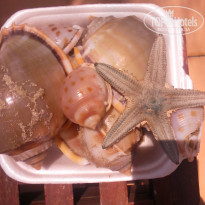 фото из отзыва ID 1162388