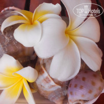 фото из отзыва ID 1162388