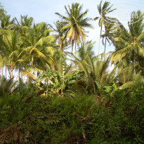 фото из отзыва ID 1162388