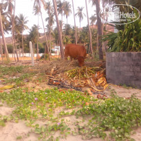 фото из отзыва ID 1162388