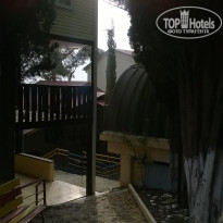 фото из отзыва ID 1162387