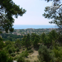 фото из отзыва ID 1162541