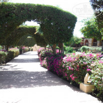 фото из отзыва ID 1162822