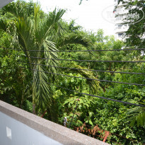 фото из отзыва ID 1162864