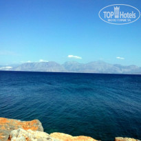 фото из отзыва ID 1163250