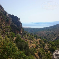 фото из отзыва ID 1163524