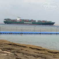 фото из отзыва ID 1163570