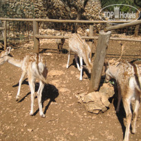 фото из отзыва ID 1163920