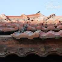 фото из отзыва ID 1164387