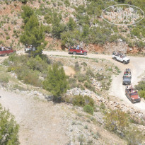 фото из отзыва ID 1163423