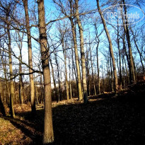 фото из отзыва ID 1164449