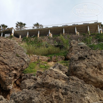 фото из отзыва ID 1164540