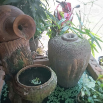 фото из отзыва ID 1164602