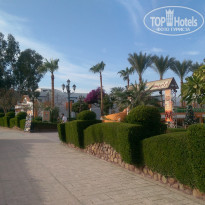 фото из отзыва ID 1164754