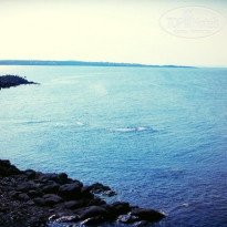 фото из отзыва ID 1164814