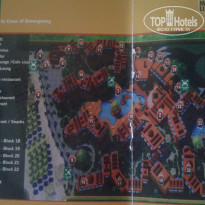 фото из отзыва ID 1165162