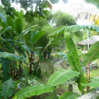 фото из отзыва ID 1165194