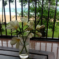 фото из отзыва ID 1165442