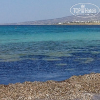 фото из отзыва ID 1163083