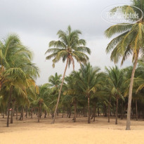 фото из отзыва ID 1165808