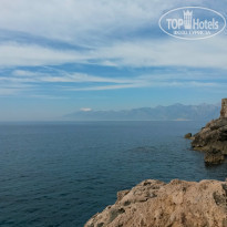 фото из отзыва ID 1164540