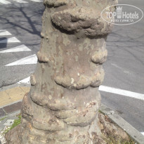 фото из отзыва ID 1165946