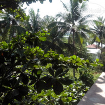 фото из отзыва ID 1166182