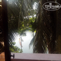 фото из отзыва ID 1166182