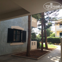 фото из отзыва ID 1166272