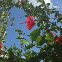 фото из отзыва ID 1166272