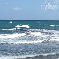 фото из отзыва ID 1166272