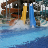 фото из отзыва ID 1166386