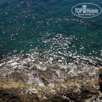 фото из отзыва ID 1166592