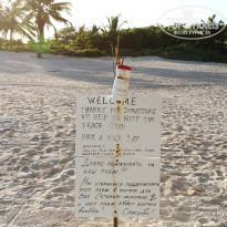 фото из отзыва ID 1166719