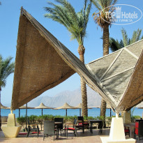 фото из отзыва ID 1166913