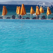 фото из отзыва ID 1166554