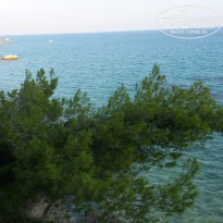 фото из отзыва ID 1167000