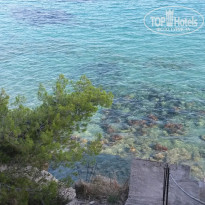 фото из отзыва ID 1167000