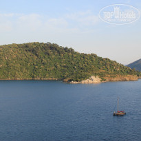 фото из отзыва ID 1167127