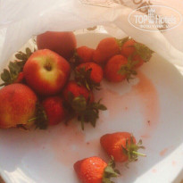 фото из отзыва ID 1167250