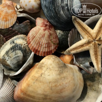 фото из отзыва ID 1167353