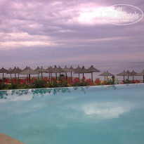 фото из отзыва ID 1167474